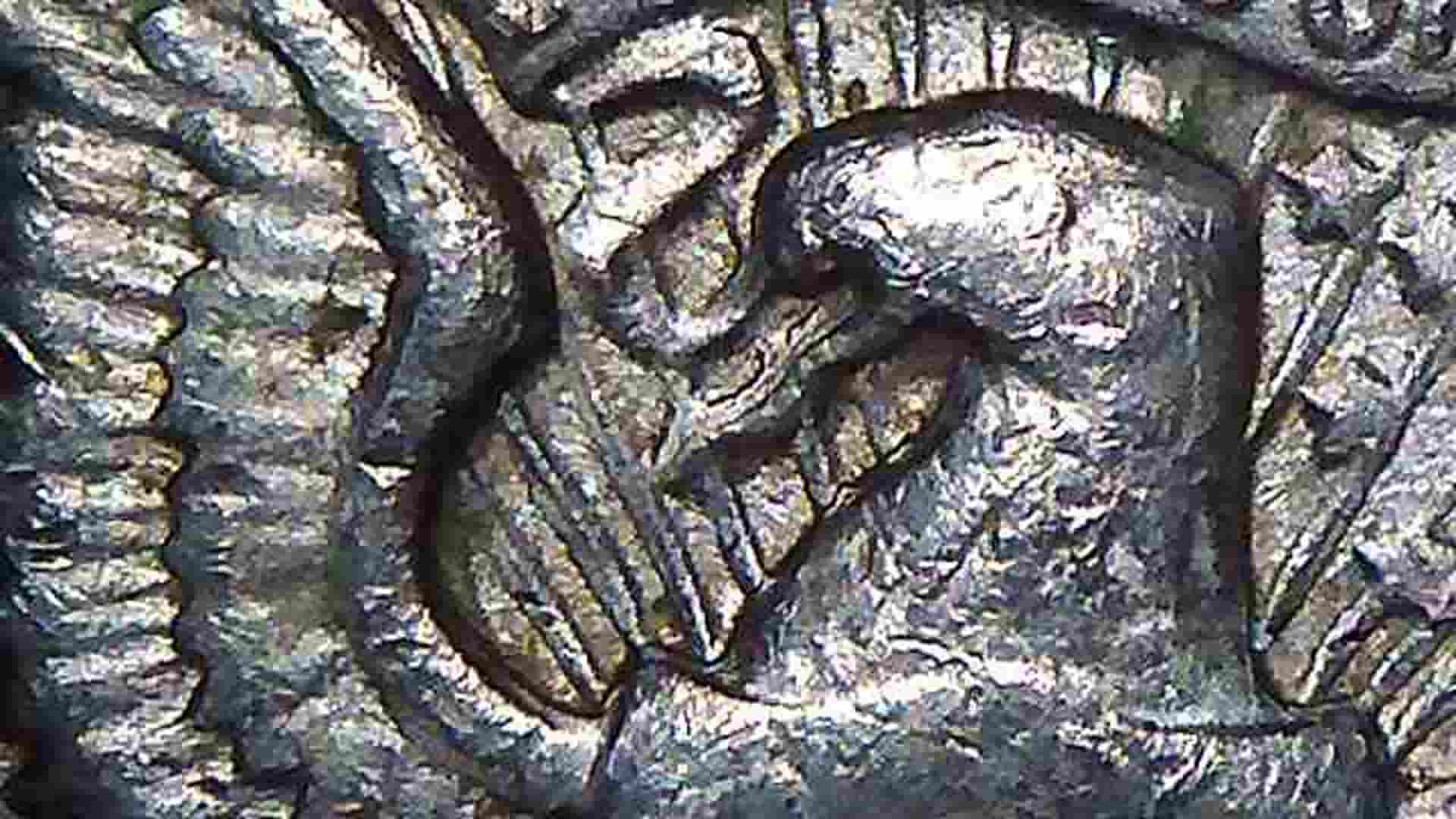 1974-Kennedy-Half-Dollar--DDR?